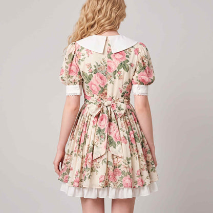Peter Pan Floral Mini Dress